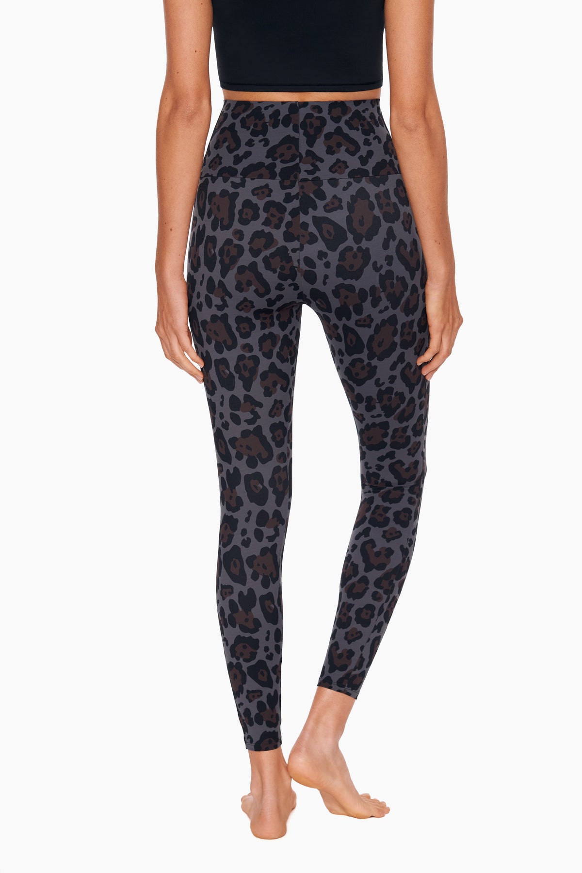 Jaguar Athleisure Legging
